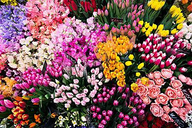 《游戏王：大师决斗》单人模式演示预告 上线时间仍未公布